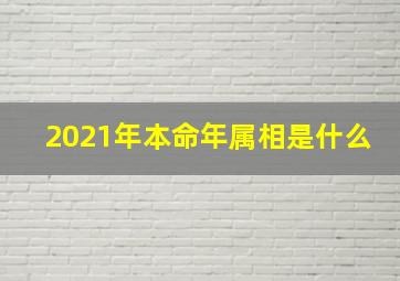 2021年本命年属相是什么