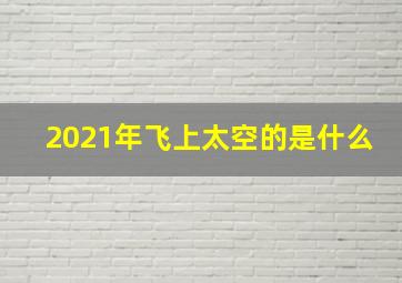 2021年飞上太空的是什么