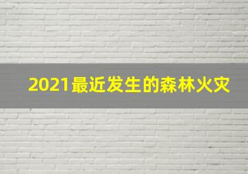 2021最近发生的森林火灾