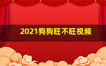 2021狗狗旺不旺视频