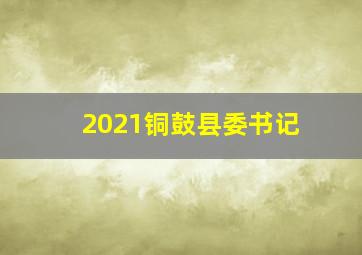 2021铜鼓县委书记