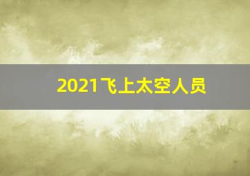 2021飞上太空人员