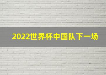 2022世界杯中国队下一场