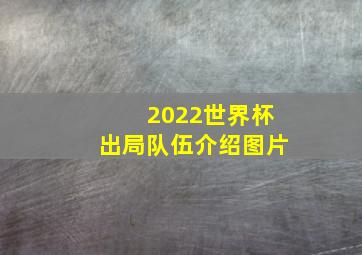 2022世界杯出局队伍介绍图片