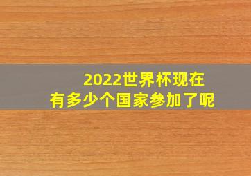 2022世界杯现在有多少个国家参加了呢