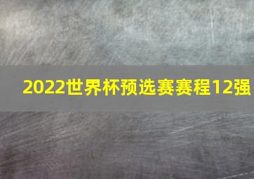 2022世界杯预选赛赛程12强