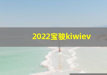 2022宝骏kiwiev