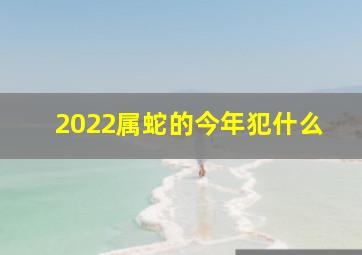 2022属蛇的今年犯什么