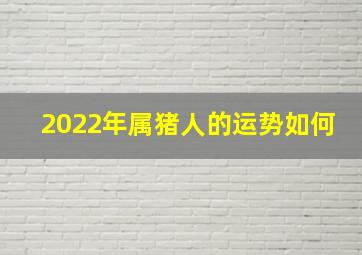 2022年属猪人的运势如何