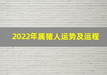 2022年属猪人运势及运程