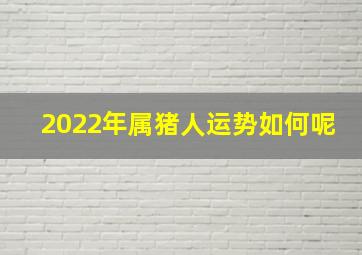 2022年属猪人运势如何呢