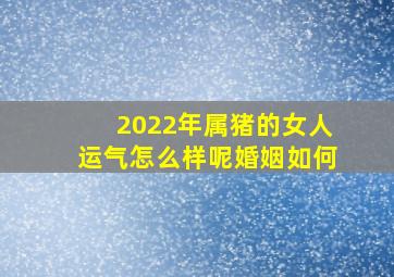 2022年属猪的女人运气怎么样呢婚姻如何