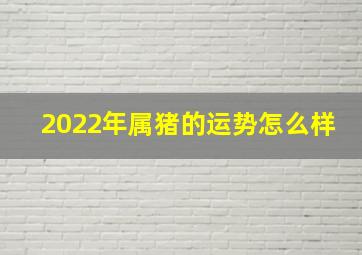 2022年属猪的运势怎么样