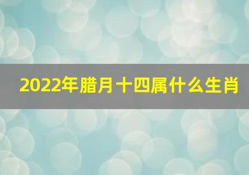 2022年腊月十四属什么生肖