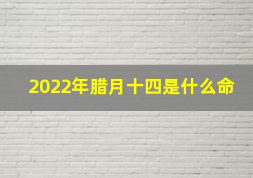 2022年腊月十四是什么命