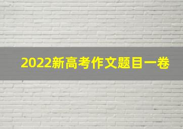 2022新高考作文题目一卷