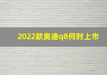 2022款奥迪q8何时上市