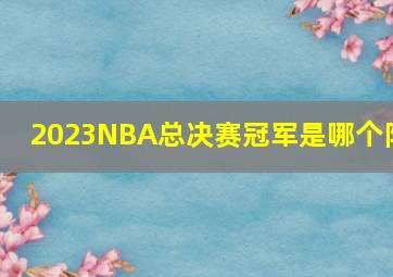 2023NBA总决赛冠军是哪个队