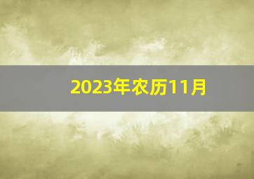 2023年农历11月