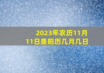 2023年农历11月11日是阳历几月几日