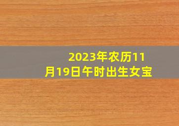 2023年农历11月19日午时出生女宝