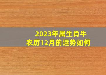 2023年属生肖牛农历12月的运势如何