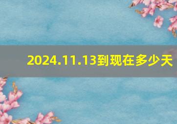 2024.11.13到现在多少天