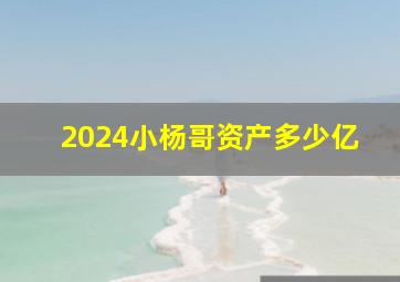 2024小杨哥资产多少亿