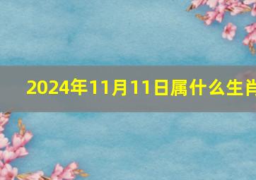 2024年11月11日属什么生肖