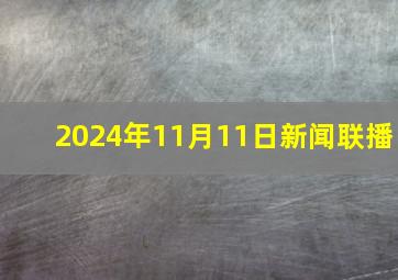 2024年11月11日新闻联播