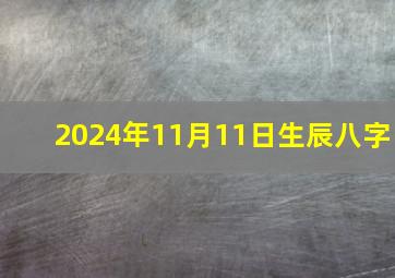 2024年11月11日生辰八字