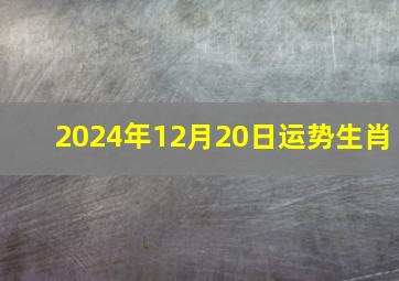 2024年12月20日运势生肖