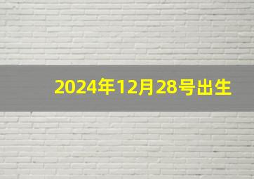 2024年12月28号出生