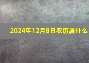 2024年12月8日农历属什么