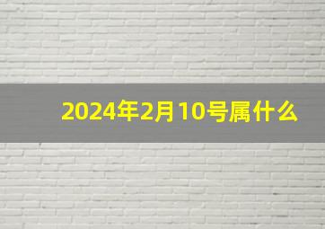 2024年2月10号属什么