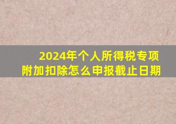 2024年个人所得税专项附加扣除怎么申报截止日期