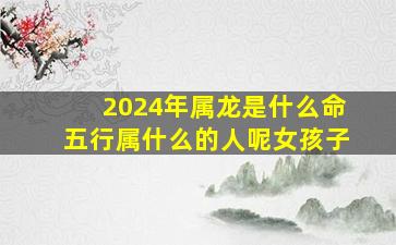 2024年属龙是什么命五行属什么的人呢女孩子