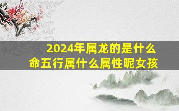 2024年属龙的是什么命五行属什么属性呢女孩