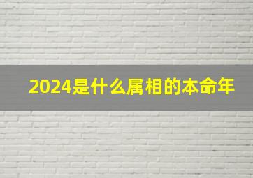 2024是什么属相的本命年