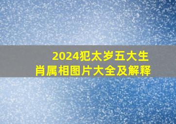 2024犯太岁五大生肖属相图片大全及解释