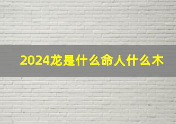 2024龙是什么命人什么木