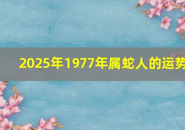 2025年1977年属蛇人的运势