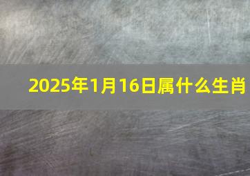 2025年1月16日属什么生肖