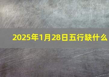 2025年1月28日五行缺什么