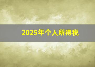 2025年个人所得税