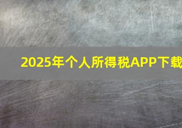 2025年个人所得税APP下载