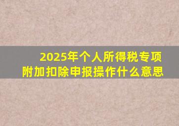 2025年个人所得税专项附加扣除申报操作什么意思