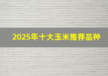 2025年十大玉米推荐品种