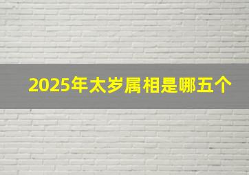 2025年太岁属相是哪五个