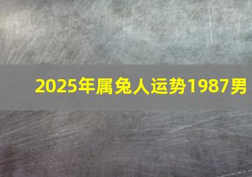 2025年属兔人运势1987男